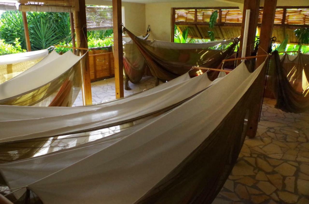 La Suite De Kaz'Hamac Grand-Bourg (Marie Galante) Exterior photo